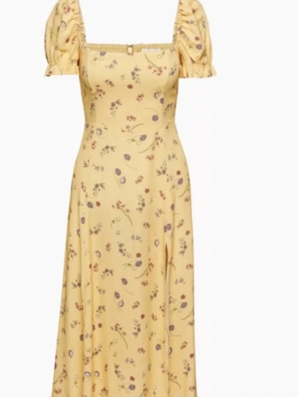 Aritzia floral midi dress